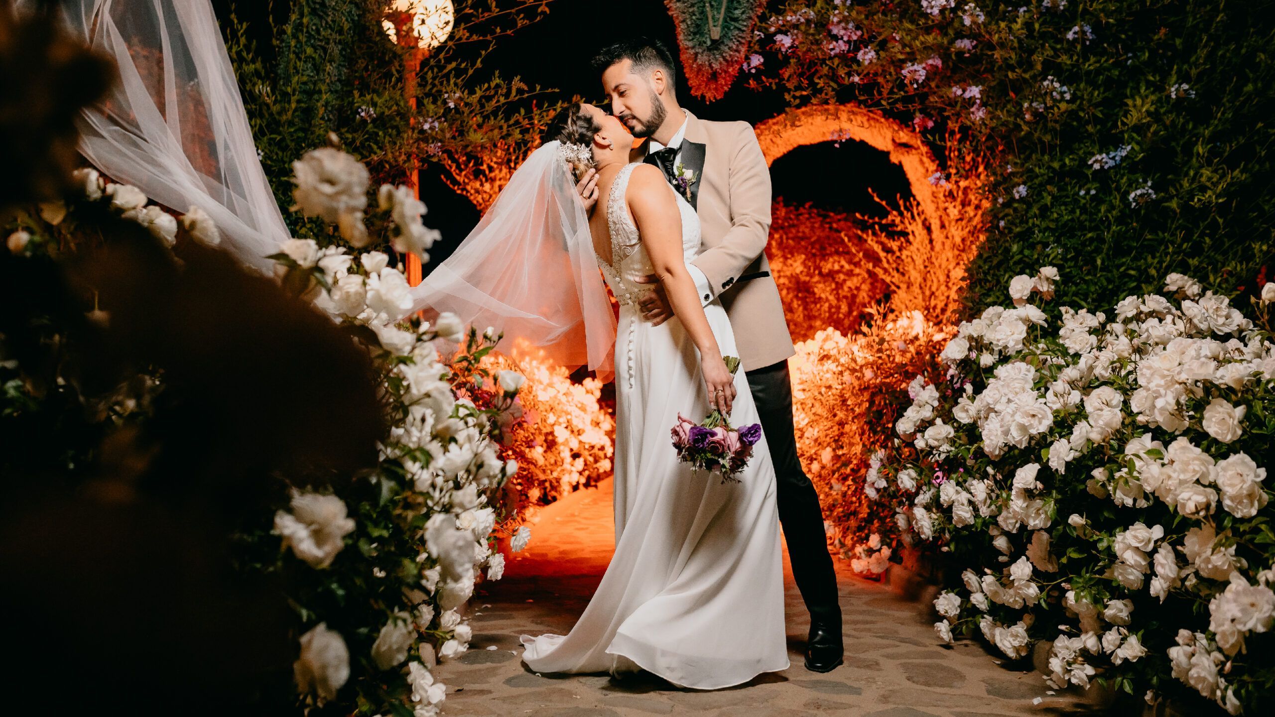 bannerweb matri 01 scaled